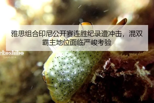 雅思组合印尼公开赛连胜纪录遭冲击，混双霸主地位面临严峻考验